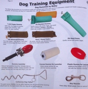 gun dog training kit